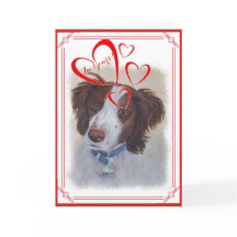 I'M YOURS VALENTINE STATELY AUBURN SETTER MIX