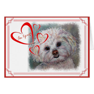 I'M YOURS VALENTINE SWEET WHITE MALTESE YORKIE MIX