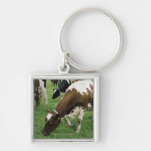 ima28991 key ring