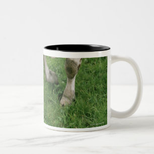 ima28991 Two-Tone coffee mug