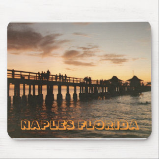 image0-8, NAPLES FLORIDA Mouse Mat