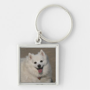 Image112a Key Ring