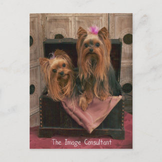 Image Consultant Postcard