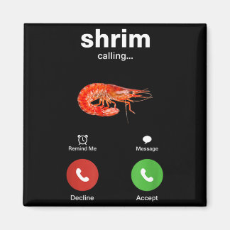 Image Graphic Magnet