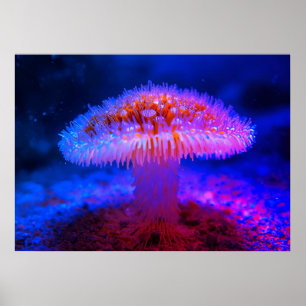 Image of a Red Mushroom on the Ocean Floor Wall Poster