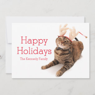 Image of a very cute little cat wearing reindeer holiday card