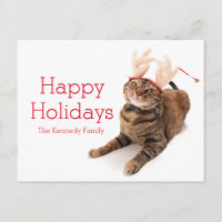 Image of a very cute little cat wearing reindeer