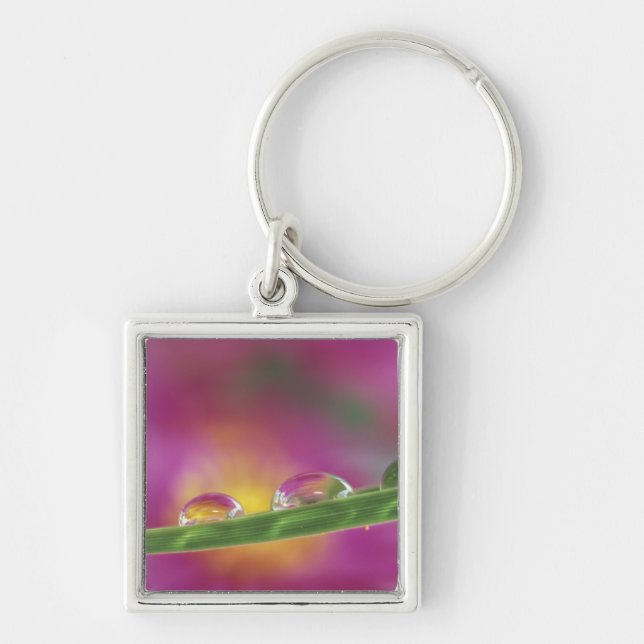 Image of asters formed in water droplets key ring (Front)