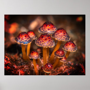 Image of Small Wild Mushrooms on Ocean Floor Wall Poster