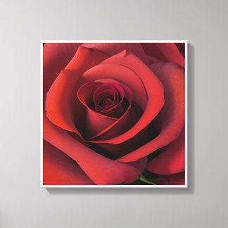 Image printed on canvas for beautiful colours, 10