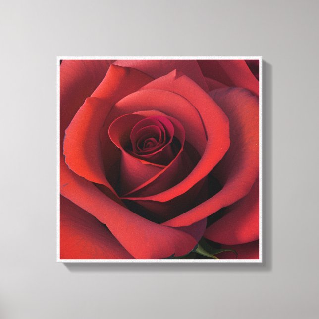 Image printed on canvas for beautiful colours, 10 (Front)