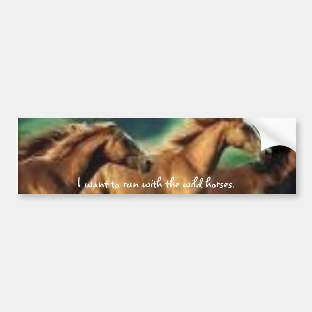 images6, I want to run with the wild horses. Bumper Sticker (Front)