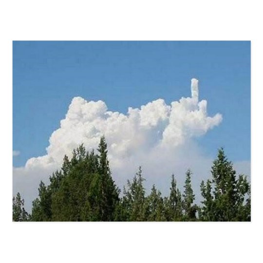 Images of a Suggestive Nature Postcard