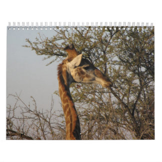 Images of South Africa Calendar