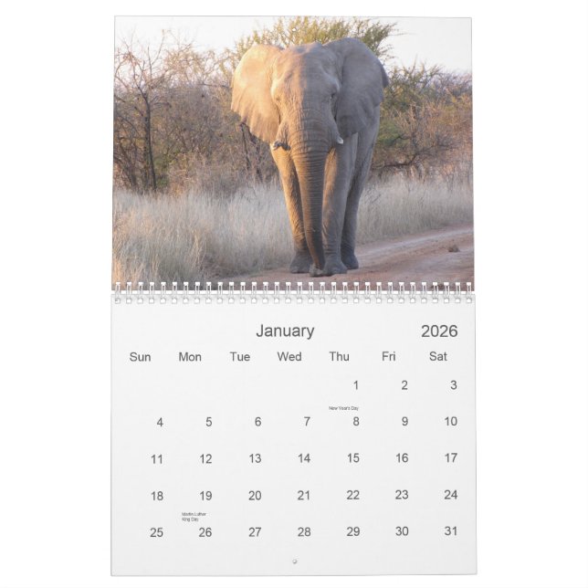 Images of South Africa Calendar (Jan 2026)