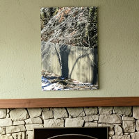 Imaginary Shadow Winter Tree Fine Art Photography
