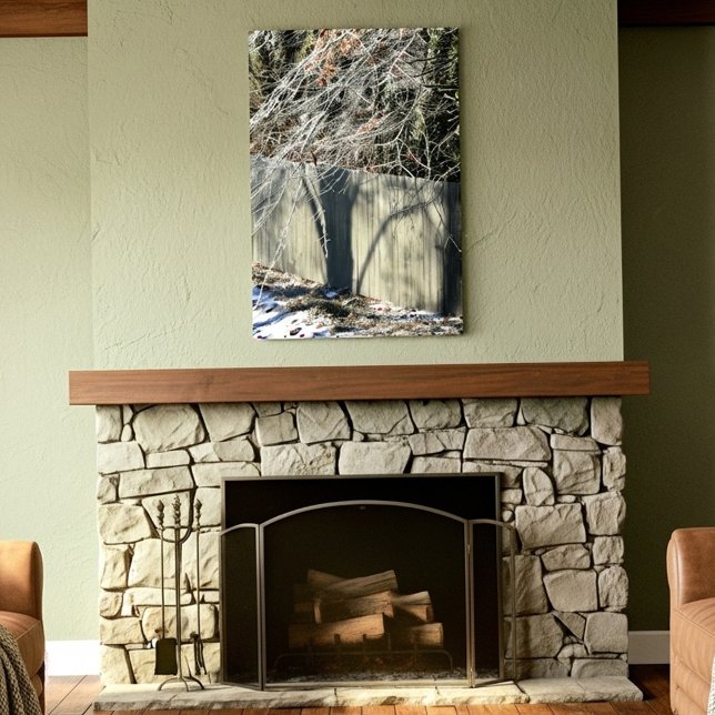 Imaginary Shadow Winter Tree Fine Art Photography Canvas Print (Creator Uploaded)