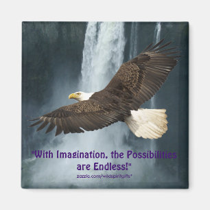 Imagination Eagle & Water-Fall Motivational Magnet