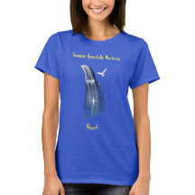 Imagine Apostolic Church Women's T-Shirt