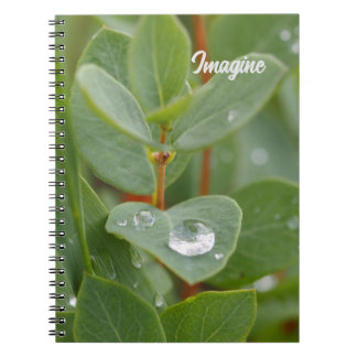 Imagine Raindrops and Leaves Spiral Photo Notebook