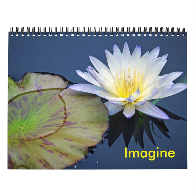 Imagine Water Lilies Calendar (Cover)