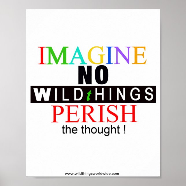 IMAGINE - Wildlife warrior - Endangered animals Poster (Front)