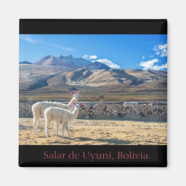 Imam, Flames Salar of Uyuni, Bolivia Magnet (Front)