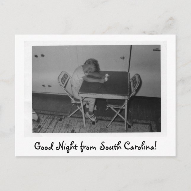 img058, Good Night from South Carolina! Postcard (Front)