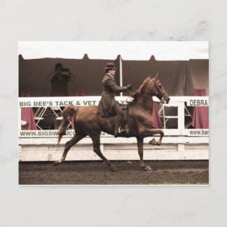 IMG_0065 copy Postcard