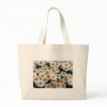 IMG_0066  Daisy Lovers