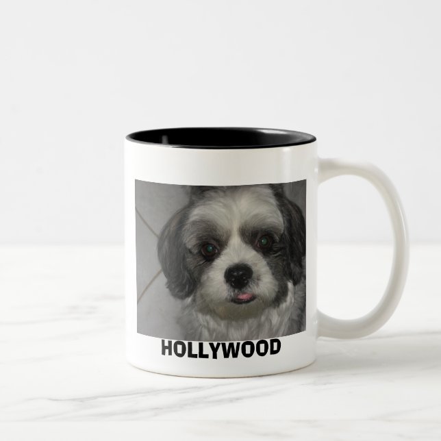 IMG_0157, HOLLYWOOD Two-Tone COFFEE MUG (Right)