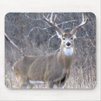 IMG_0327 MOUSE MAT