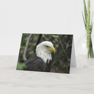 IMG_0673-eagle_5x7 Card