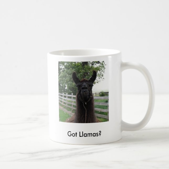 IMG_0677, Got Llamas? Coffee Mug (Right)