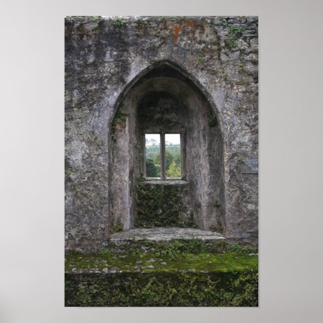 IMG_0730 POSTER (Front)