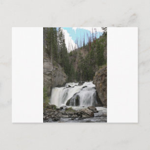IMG_0994_1 POSTCARD