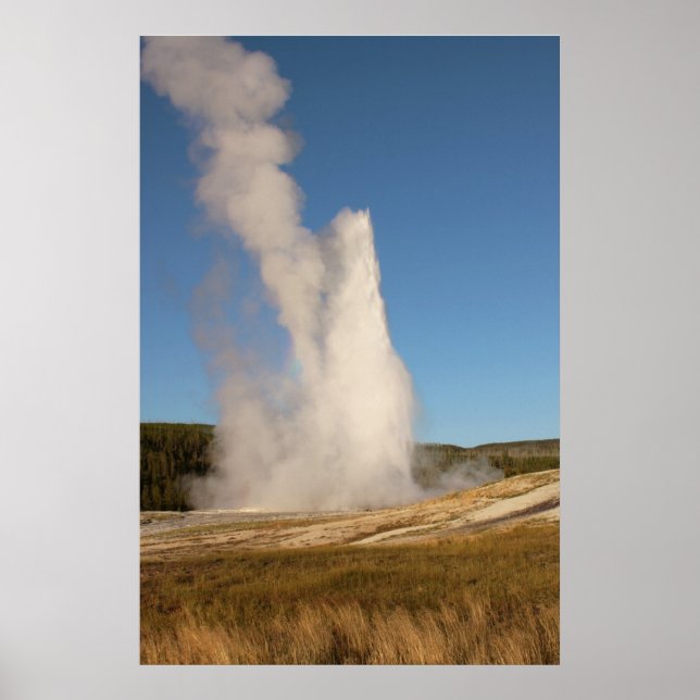 IMG_1081_1 POSTER (Front)