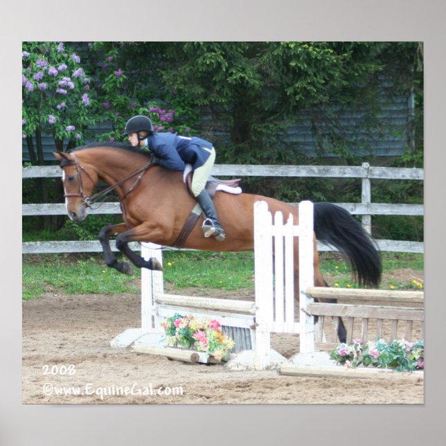 Img-1160 Poster (Front)