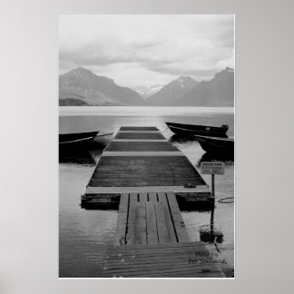 IMG_1204, Photo by: Deb Stachoviak Poster