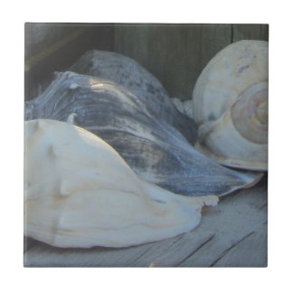 IMG_1498 (3).jpg Tile