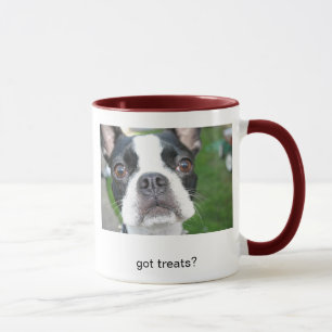 IMG_1551, got treats? Mug