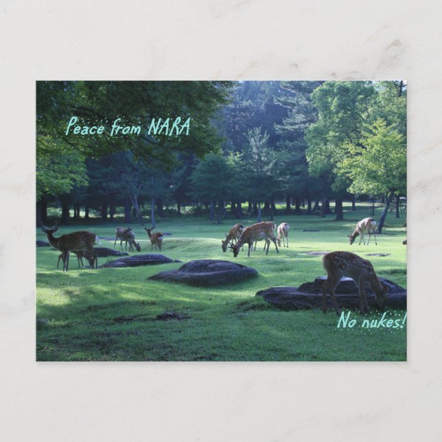 IMG_1664 NARA POSTCARD (Front)