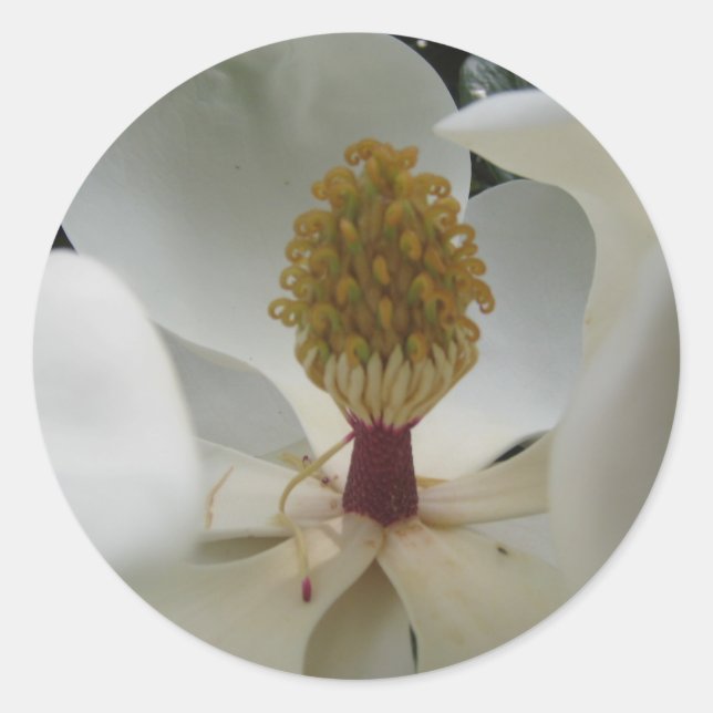 IMG_2099 CLASSIC ROUND STICKER (Front)