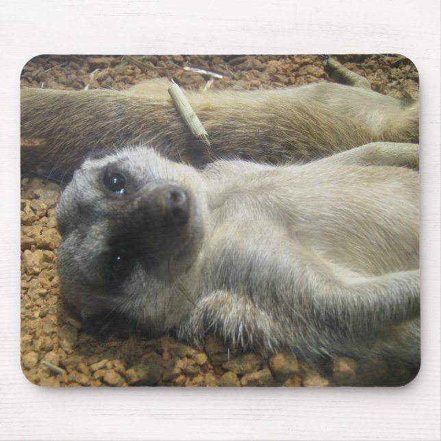 IMG_2196 MOUSE MAT (Front)