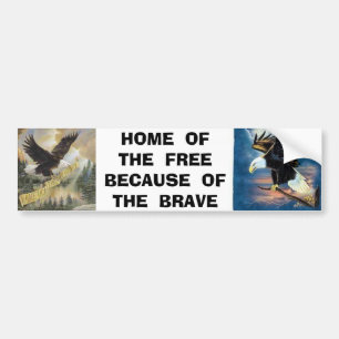 img, 22 eagle, HOME  OF  THE  FREEBECAUSE  OF  ... Bumper Sticker