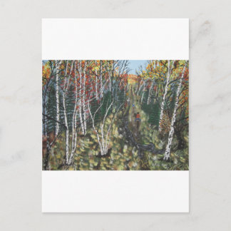 IMG_2974.JPGWhite Birch Trail Ride Postcard