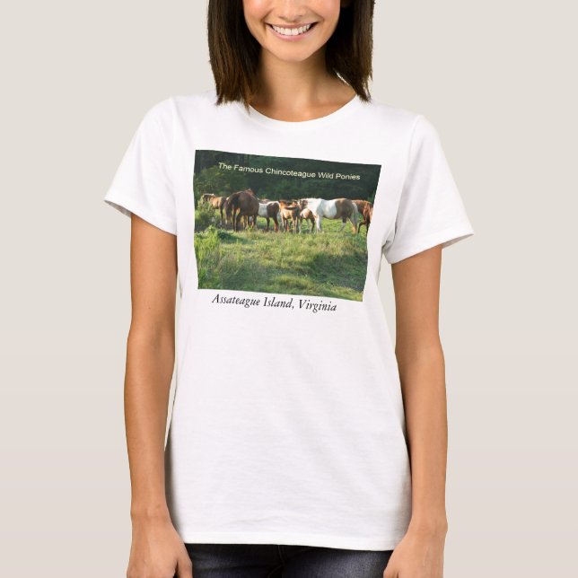 IMG_3820, The Famous Chincoteague Wild Ponies, ... T-Shirt (Front)