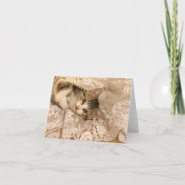 IMG_4121_-_Marygold_-_cropped - 5x7 Card (Front)