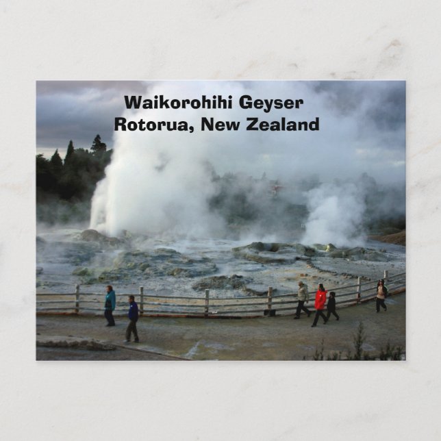 IMG_4274, Waikorohihi Geyser Rotorua, New Zealand Postcard (Front)