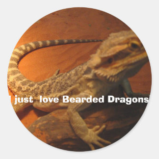 IMG_4705, I just  love Bearded Dragons! Classic Round Sticker
